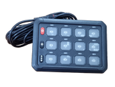 12 Gang Switch Panel - WIRED